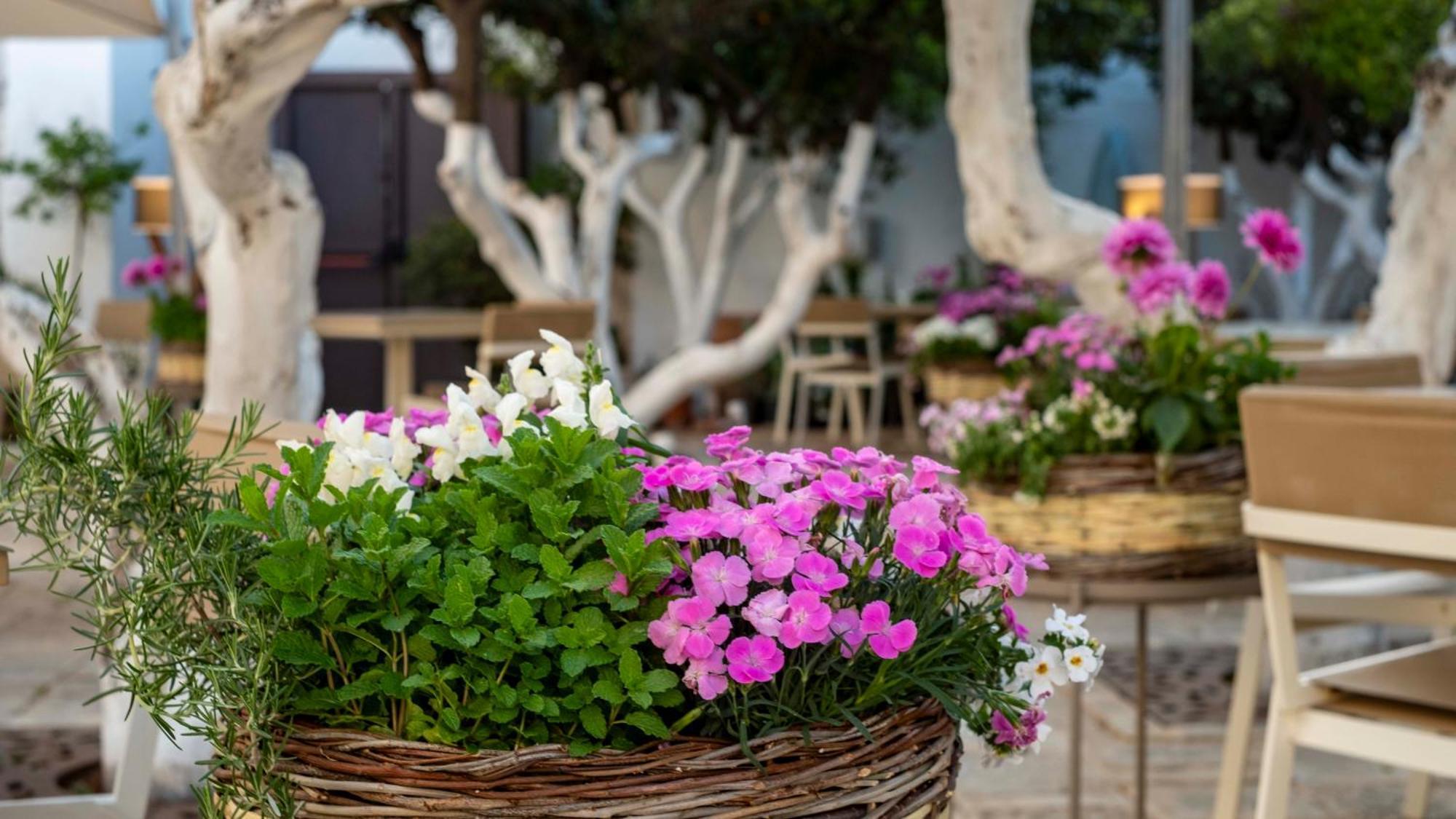 La Sommita Relais & Chateaux Ostuni Bagian luar foto